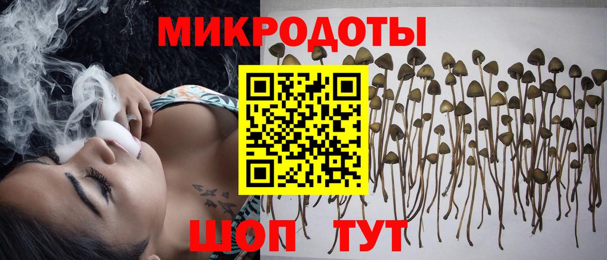 Галлюциногенные грибы Psilocybine cubensis  Псилоцибиновые грибы мицелий  Выкса  Вход с VPN 